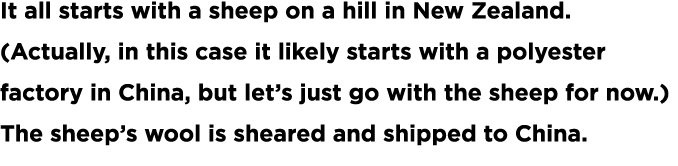 It all starts with a sheep on a hill in New Zealand   Actually  in this case it likely starts with a polyester factor   